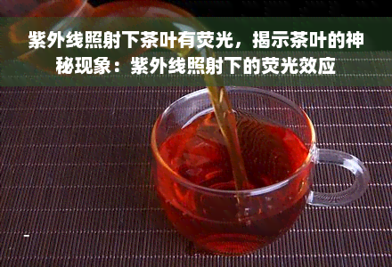 紫外线照射下茶叶有荧光，揭示茶叶的神秘现象：紫外线照射下的荧光效应