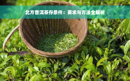 北方普洱茶存条件：要求与方法全解析
