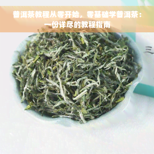 普洱茶教程从零开始，零基础学普洱茶：一份详尽的教程指南