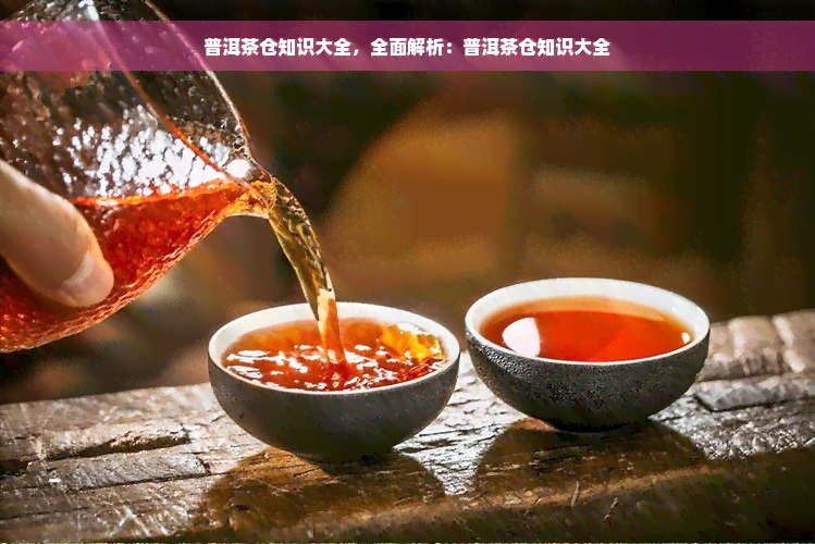 普洱茶仓知识大全，全面解析：普洱茶仓知识大全