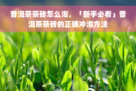 普洱茶茶砖怎么泡，「新手必看」普洱茶茶砖的正确冲泡方法