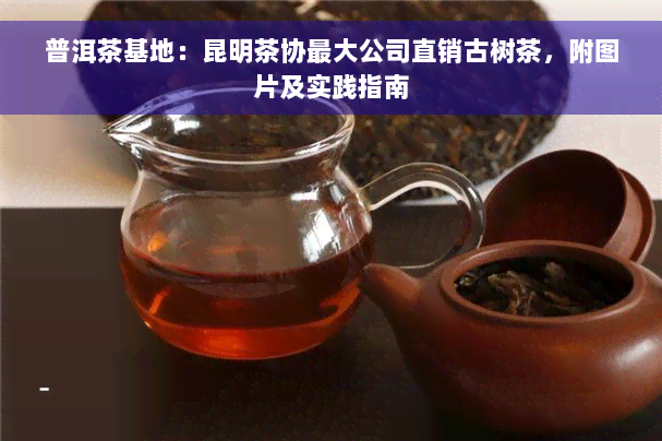 普洱茶基地：昆明茶协更大公司直销古树茶，附图片及实践指南