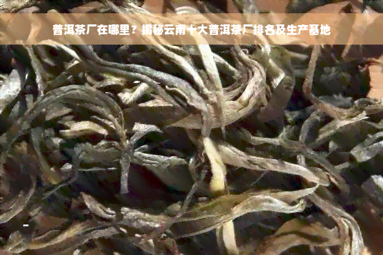 普洱茶厂在哪里？揭秘云南十大普洱茶厂排名及生产基地