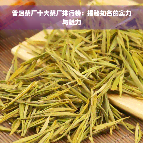 普洱茶厂十大茶厂排行榜：揭秘知名的实力与魅力