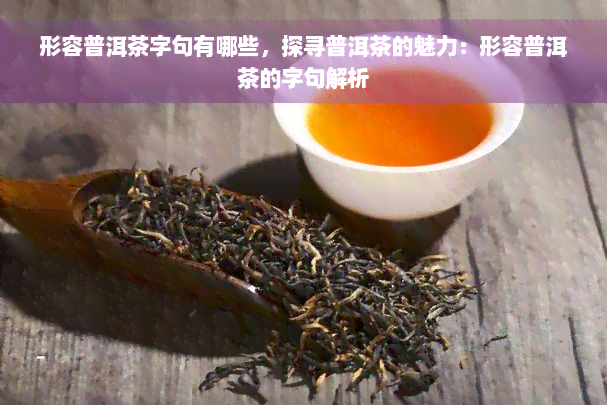 形容普洱茶字句有哪些，探寻普洱茶的魅力：形容普洱茶的字句解析