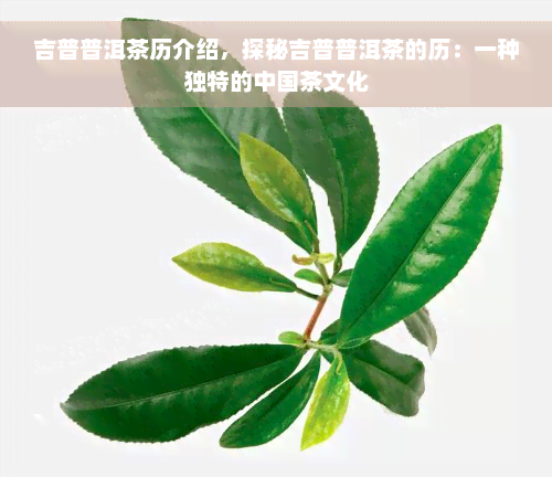 吉普普洱茶历介绍，探秘吉普普洱茶的历：一种独特的中国茶文化