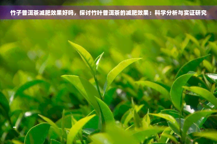 竹子普洱茶减肥效果好吗，探讨竹叶普洱茶的减肥效果：科学分析与实证研究