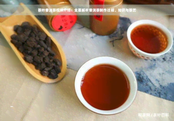 茶叶普洱茶视频介绍：全面解析普洱茶制作过程、知识与茶艺