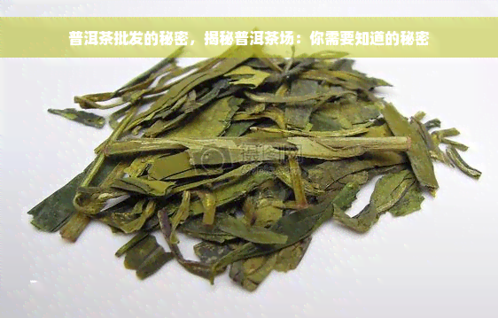 普洱茶批发的秘密，揭秘普洱茶场：你需要知道的秘密