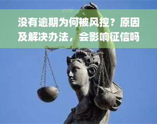 没有逾期为何被风控？原因及解决办法，会影响征信吗？