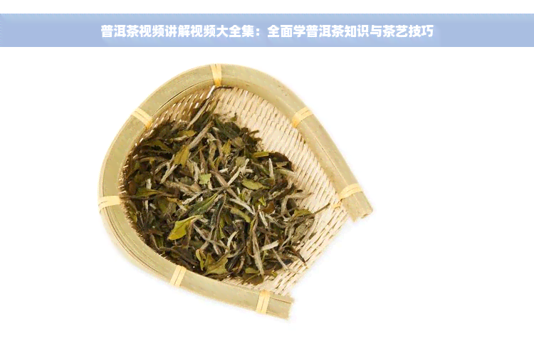 普洱茶视频讲解视频大全集：全面学普洱茶知识与茶艺技巧