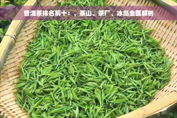 普洱茶排名前十：、茶山、茶厂、冰岛全面解析