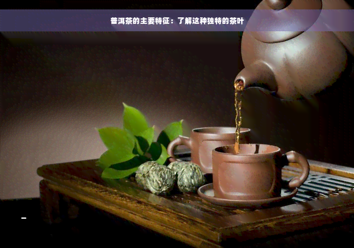 普洱茶的主要特征：了解这种独特的茶叶