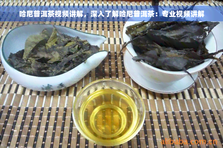 哈尼普洱茶视频讲解，深入了解哈尼普洱茶：专业视频讲解