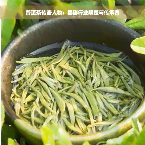 普洱茶传奇人物：揭秘行业翘楚与传承者