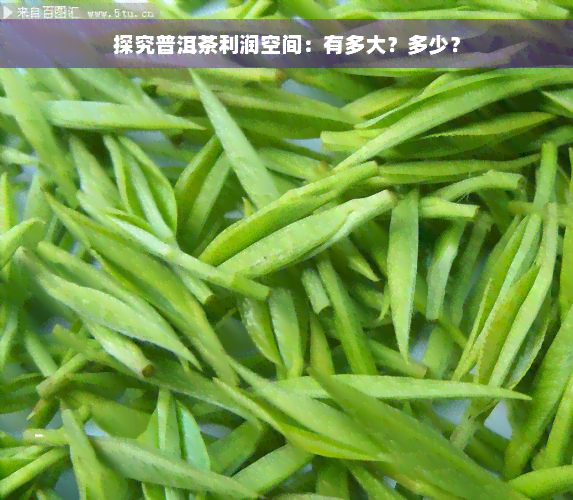 探究普洱茶利润空间：有多大？多少？