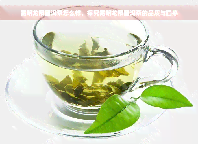 昆明龙泉普洱茶怎么样，探究昆明龙泉普洱茶的品质与口感