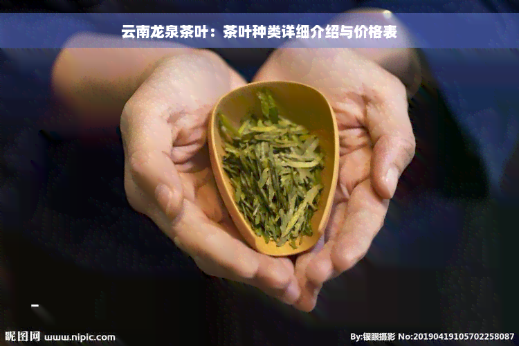 云南龙泉茶叶：茶叶种类详细介绍与价格表