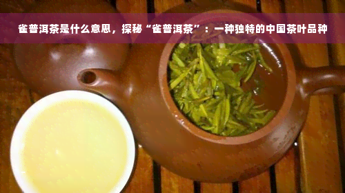 雀普洱茶是什么意思，探秘“雀普洱茶”：一种独特的中国茶叶品种