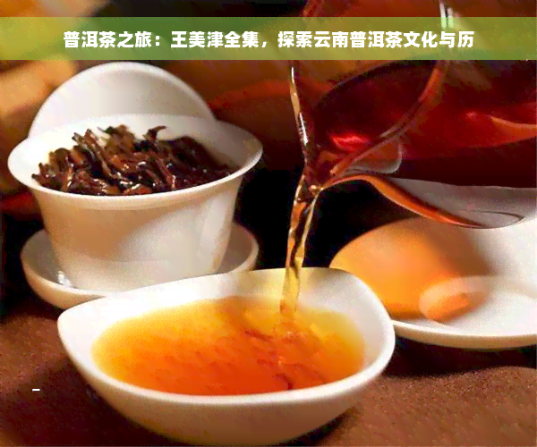 普洱茶之旅：王美津全集，探索云南普洱茶文化与历