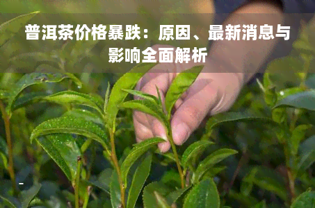 普洱茶价格暴跌：原因、最新消息与影响全面解析