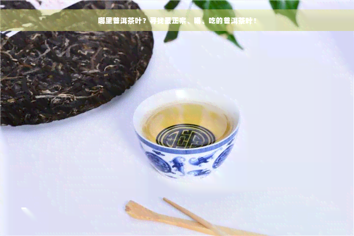 哪里普洱茶叶？寻找最正宗、喝、吃的普洱茶叶！