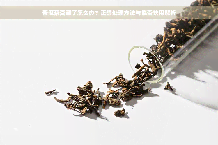 普洱茶受潮了怎么办？正确处理方法与能否饮用解析