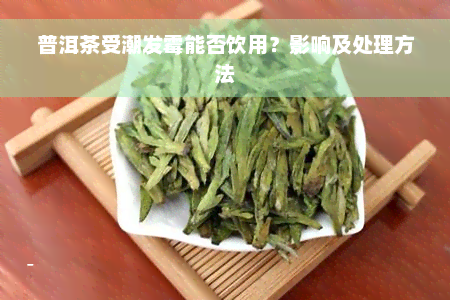 普洱茶受潮发霉能否饮用？影响及处理方法