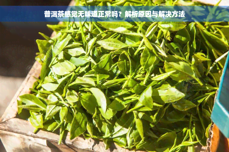 普洱茶感觉无味道正常吗？解析原因与解决方法