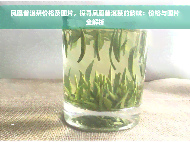 凤凰普洱茶价格及图片，探寻凤凰普洱茶的韵味：价格与图片全解析