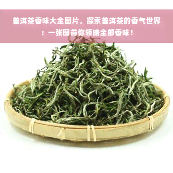 普洱茶香味大全图片，探索普洱茶的香气世界：一张图带你领略全部香味！