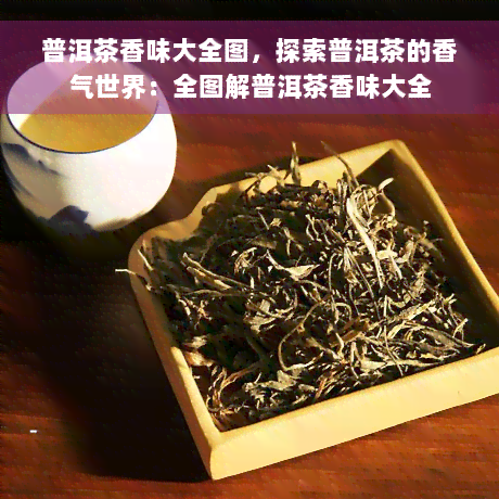 普洱茶香味大全图，探索普洱茶的香气世界：全图解普洱茶香味大全