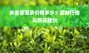 余香普洱茶价格多少？最新行情与购买建议