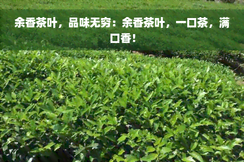 余香茶叶，品味无穷：余香茶叶，一口茶，满口香！