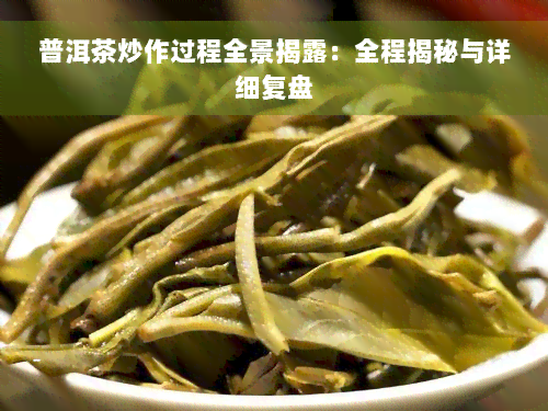 普洱茶炒作过程全景揭露：全程揭秘与详细复盘