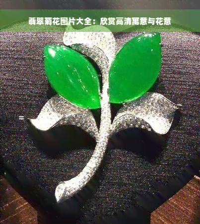 翡翠菊花图片大全：欣赏高清寓意与花意