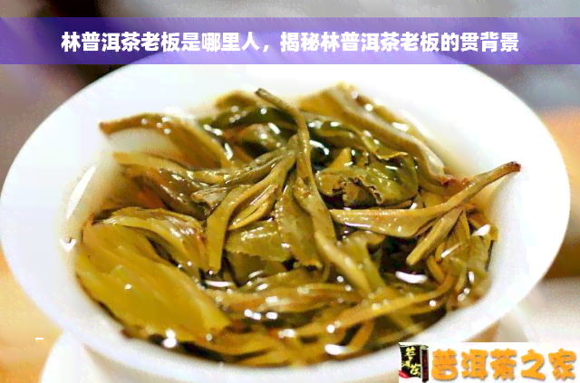 林普洱茶老板是哪里人，揭秘林普洱茶老板的贯背景