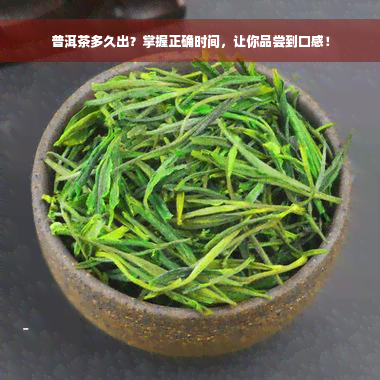 普洱茶多久出？掌握正确时间，让你品尝到口感！