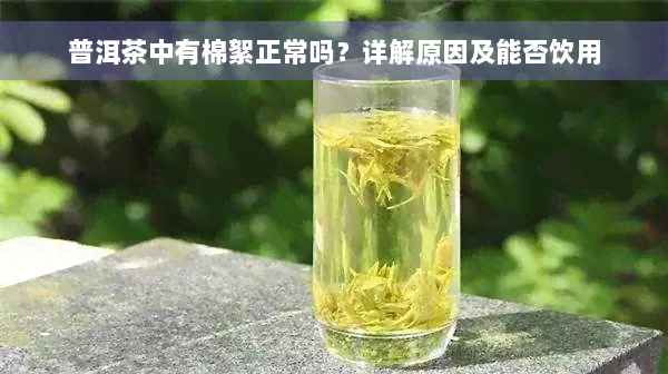 普洱茶中有棉絮正常吗？详解原因及能否饮用