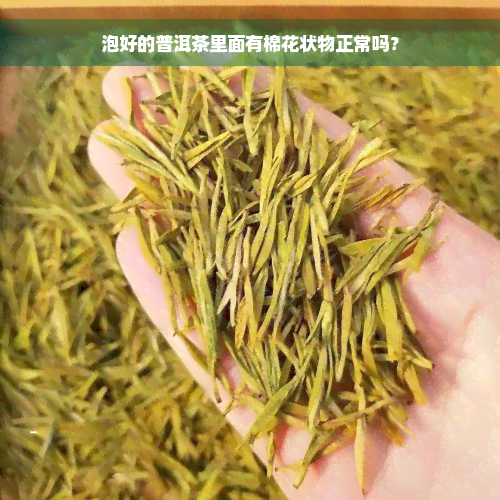 泡好的普洱茶里面有棉花状物正常吗？