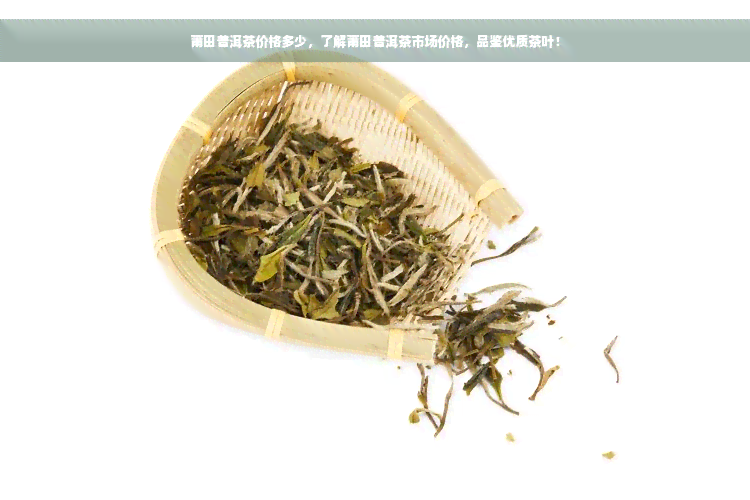 莆田普洱茶价格多少，了解莆田普洱茶市场价格，品鉴优质茶叶！