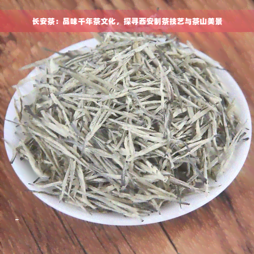 长安茶：品味千年茶文化，探寻西安制茶技艺与茶山美景