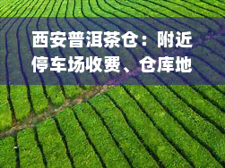 西安普洱茶仓：附近停车场收费、仓库地址、市场情况、专卖店介绍、协会会长及专业茶仓一网打尽！