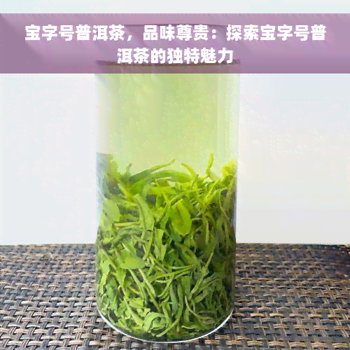 宝字号普洱茶，品味尊贵：探索宝字号普洱茶的独特魅力