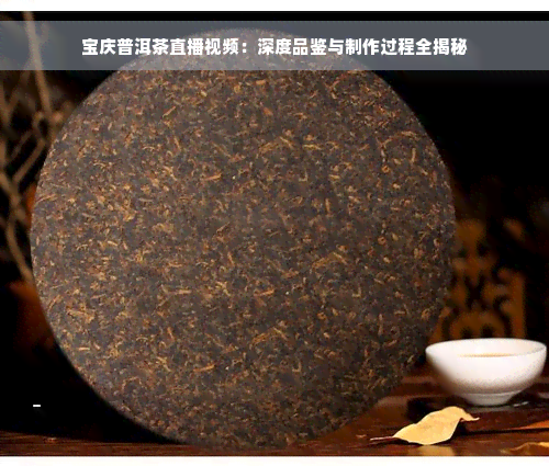 宝庆普洱茶直播视频：深度品鉴与制作过程全揭秘