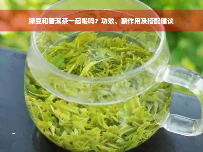 绿豆和普洱茶一起喝吗？功效、副作用及搭配建议