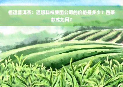 福运普洱茶：理想料枝集团公司的价格是多少？熟茶款式如何？