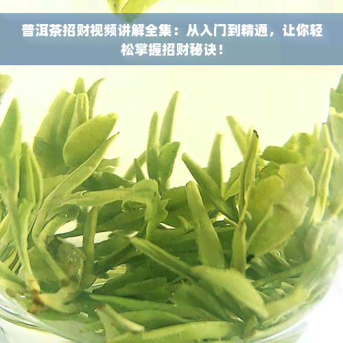 普洱茶招财视频讲解全集：从入门到精通，让你轻松掌握招财秘诀！