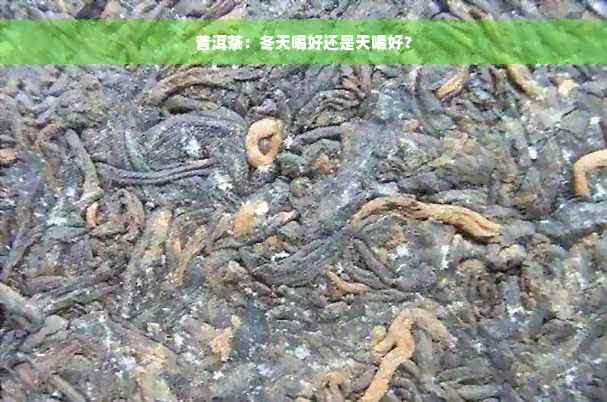 普洱茶：冬天喝好还是天喝好？