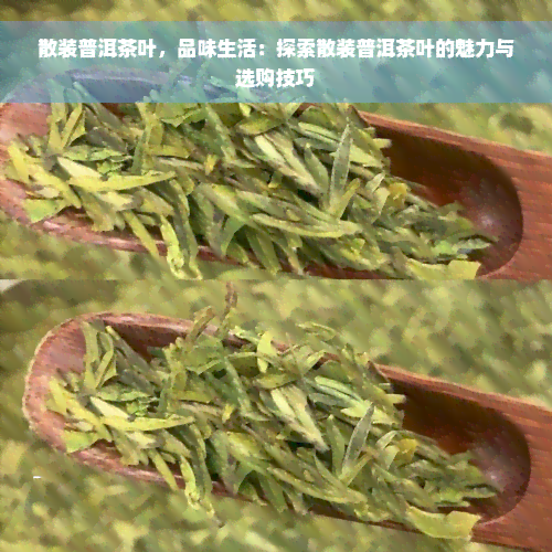 散装普洱茶叶，品味生活：探索散装普洱茶叶的魅力与选购技巧